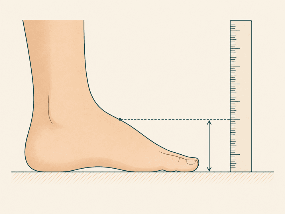 Side view of a foot flat on the floor with a vertical ruler measuring the height from the floor to the highest point of the arch